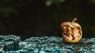 La sostenibilidad fracasa donde la logística olvida el regreso: producimos, distribuimos y consumimos en exceso, pero aún no sabemos cómo hacer volver lo que el sistema deja atrás