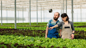 Farmworkers gather fresh vegetables under the warm sun, ensuring the highest quality produce for consumers who might unknowingly encounter insect-derived ingredients in their food