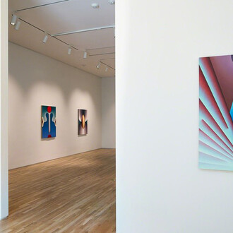 Loie Hollowell. Courtesy of Pace Gallery