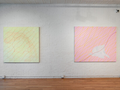 Audra Skuodas, Vibrational vulnerability, exhibition view. Courtesy of Cristin Tierney Gallery