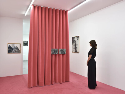 Joanna Piotrowska, exhibition view. Courtesy of Marian Goodman Gallery