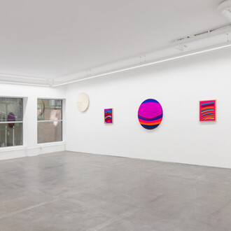 Samantha Thomas, Love in a mist, exhibition view. Courtesy of Anat Ebgi Gallery