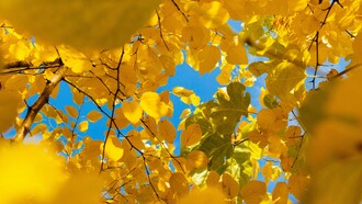 Accogliere la complessità significa rinunciare alle certezze e accettare la fatica di vivere senza risposte semplici