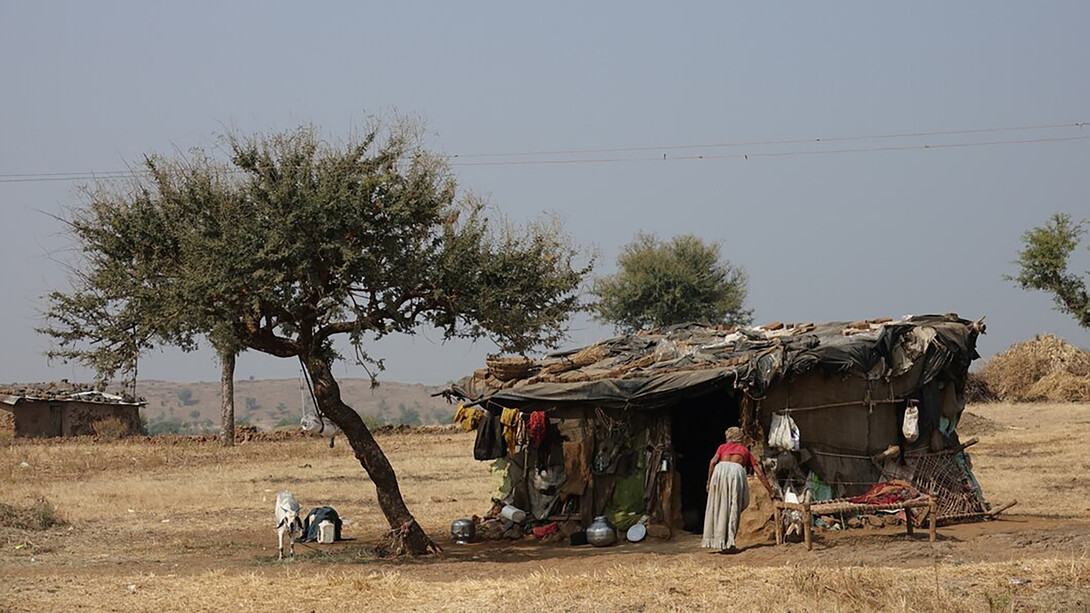 Struggles of the economically disadvantaged in the Global South