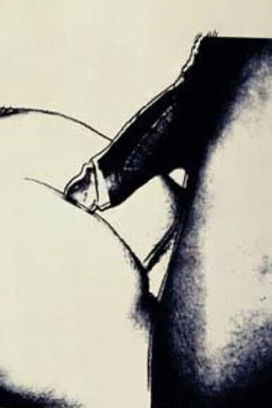 Warhol. Sexual picture