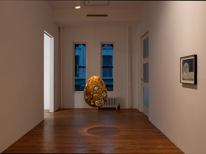 Ajay Kurian, Peanuts (Deluxe), exhibition view. Courtesy of 47 Canal