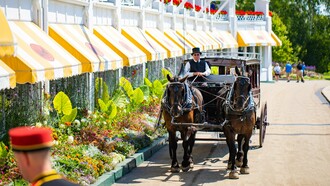 Horse-drawn carriage passing by blooming gardens, portraying Mackinac Island’s transportation tradition preserved for more than a century