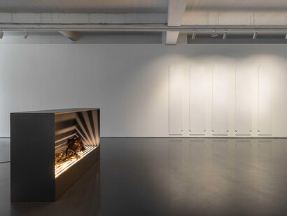 Isabel Cordovil, The enigma of arrival, exhibition view. Courtesy of Pedro Cera