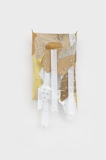 Ramon Perez, Falling stars II, 2022. Courtesy of Catharine Clark Gallery