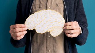 Brain development isn’t just about growth: it’s about refining connections based on experience