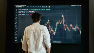 Para se ter um entendimento claro da situação. Vamos dividir a situação em danos ao erário público e danos ao sistema financeiro brasileiro. Vamos começar pelos danos ao erário público. O Banco BRB é propriedade do Governo Federal e do Governo Estadual do DF. Incluindo fundos de Pensão do Banco do Brasil e fundos de pensão de Funcionários do Distrito DF