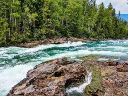 Stream flows wildly in an uninhabited forest