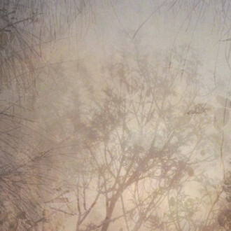 Into the Wilderness. Courtesy of Flinders Lane Gallery