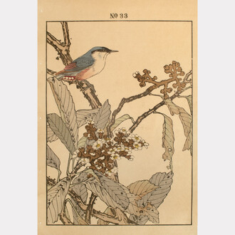 Keinen (1845 - 1923),
Nuthatch and Loquat, 1892.
Keinen’s Flower-and-Bird Painting Manual (Keinen kacho gafu),
Woodblock Print,
14.5 x 10.25 (inches). Courtesy of the artist and Ronin Gallery