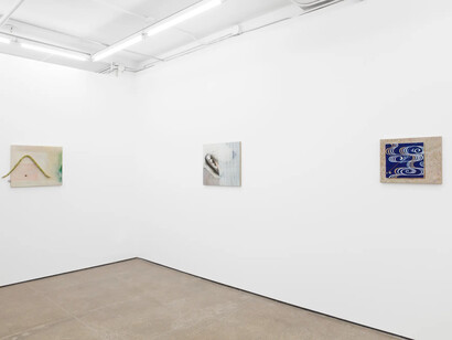 Siobhan Liddell, Going without saying, exhibition view. Courtesy of Gordon Robichaux Gallery