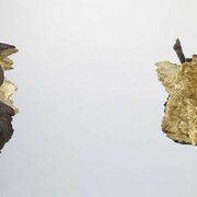 Galerie Marian Goodman