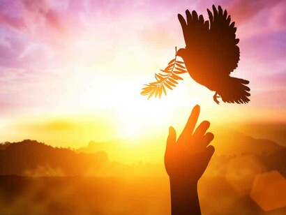 A dove of peace flying during sunset, touched by a hand