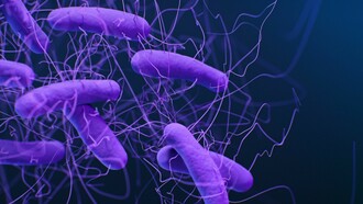 Ilustración médica de la bacteria Clostridioides difficile. El desarrollo de los antibióticos transformó la medicina moderna y abrió un nuevo camino en el tratamiento de infecciones