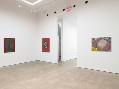 Srijon Chowdhury, Tapestry, exhibition view. Courtesy of P.P.O.W Gallery