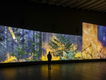 Eija-Liisa Ahtila, Reflection of a forest, exhibition view. Courtesy of Serlachius Museum