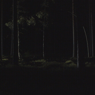 Pasi Autio, State of alert (video still, detail), 2025. Courtesy of Turku Art Museum
