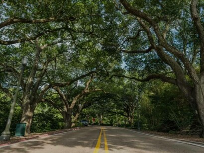 The green open spaces from Baton Rouge, Louisiana