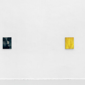 Erik Swars, Medien-ver-gleich, ausstellungsansicht. In zusammenarbeit mit Christine König Galerie