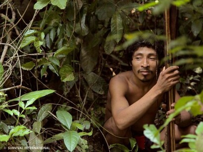 The Awa are losing their most precious treasure: the jungle