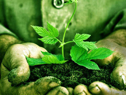 Questians create common ground – fertile for new forms of community to emerge