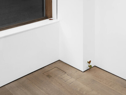 Suda Yoshihiro, exhibition view. Courtesy of Sadie Coles HQ