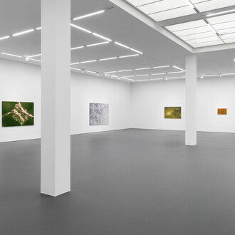 Tauba Auerbach, Easy assembly, exhibition view. Courtesy of Esther Schipper