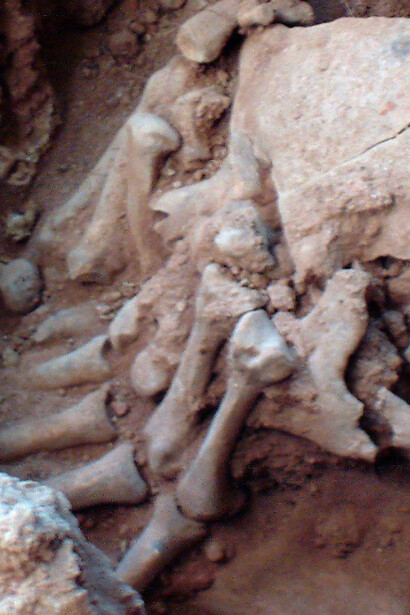 Remanescentes esqueletais encontrado em Lapa do Santo, região de Lagoa Santa em Minas Gerais, um sítio arqueológico que registra a presença humana no Brasil desde 12 000 anos atrás