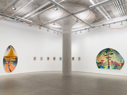 Eliot Greenwald, Library, exhibition view. Courtesy of Harper Gallery