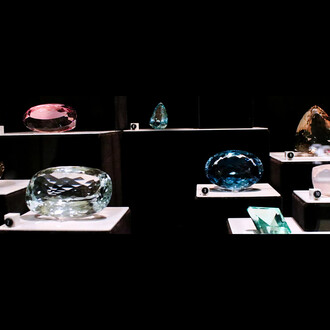 Wertz Gallery. Courtesy of Carnegie Museum of Natural History