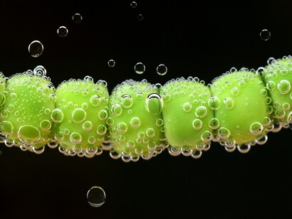 Peas are food sources of choline