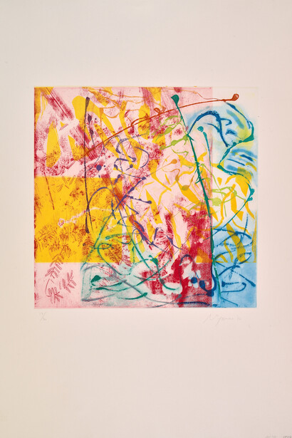 Nancy Graves, Extracten, 1982. Courtesy of the Colby College Museum of Art