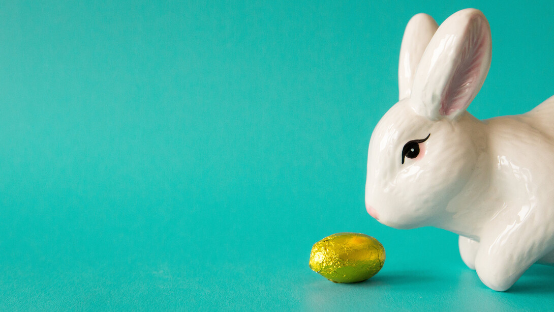 A curious white rabbit, enticing the reader