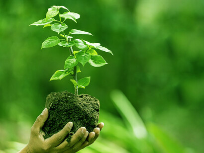 Questians recognize the urgency of the catastrophic threat the climate crisis represents