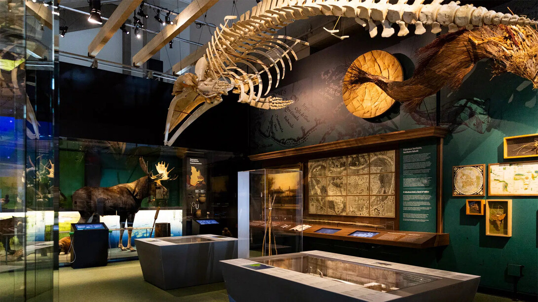 In other words, Québec, exhibition view. Courtesy of Musée de la civilisation