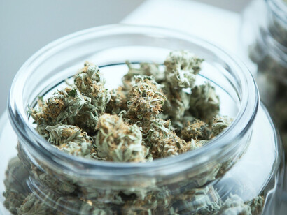 Vibrant cannabis featured on a round gray scale, illustrating the advancements in medical cannabis production through cold plasma and blockchain technology