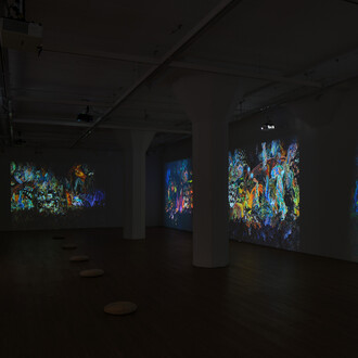 Wang Chen, Touching red, exhibition view. Courtesy of Arario Gallery