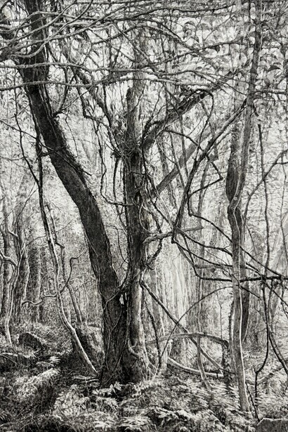 Seung Hwan Yun, 1063 Sunheul-ri, Jeju, 2024. Courtesy of Kate Oh Gallery