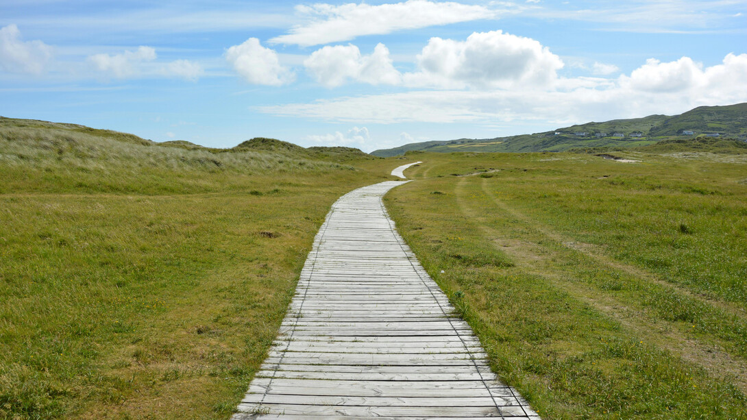 A beautiful path stretches into the horizon