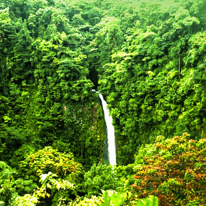 Thanks to the aggressive forest conservation state policies, Costa Rica produces oxygen to sell through carbon elimination