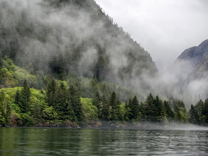 A mountain lake, early in the morning as the fog begins to clear