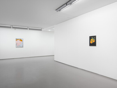 Sarah Bogner, Fallende früchte, exhibition view. Courtesy of Galerie Bernd Kugler