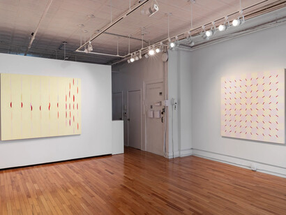 Audra Skuodas, Vibrational vulnerability, exhibition view. Courtesy of Cristin Tierney Gallery