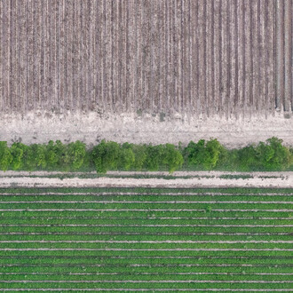 Zoe Wetherall, Crop Lines, archival pigment print, limited edition color photograph. Courtesy of the artist and the Front Room Gallery