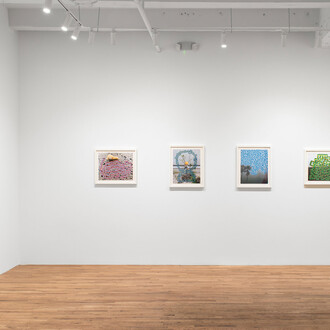 Isaac Tin Wei Lin, Intertwined infinities, exhibition view. Courtesy of Fleisher/Ollman Gallery