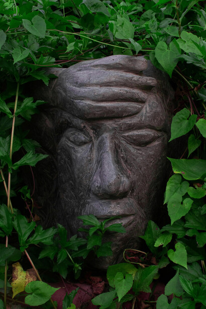 A ciência e as tradições milenares se encontram ao reconhecer a inteligência e sensibilidade das plantas, revelando o poder da Mãe Natureza